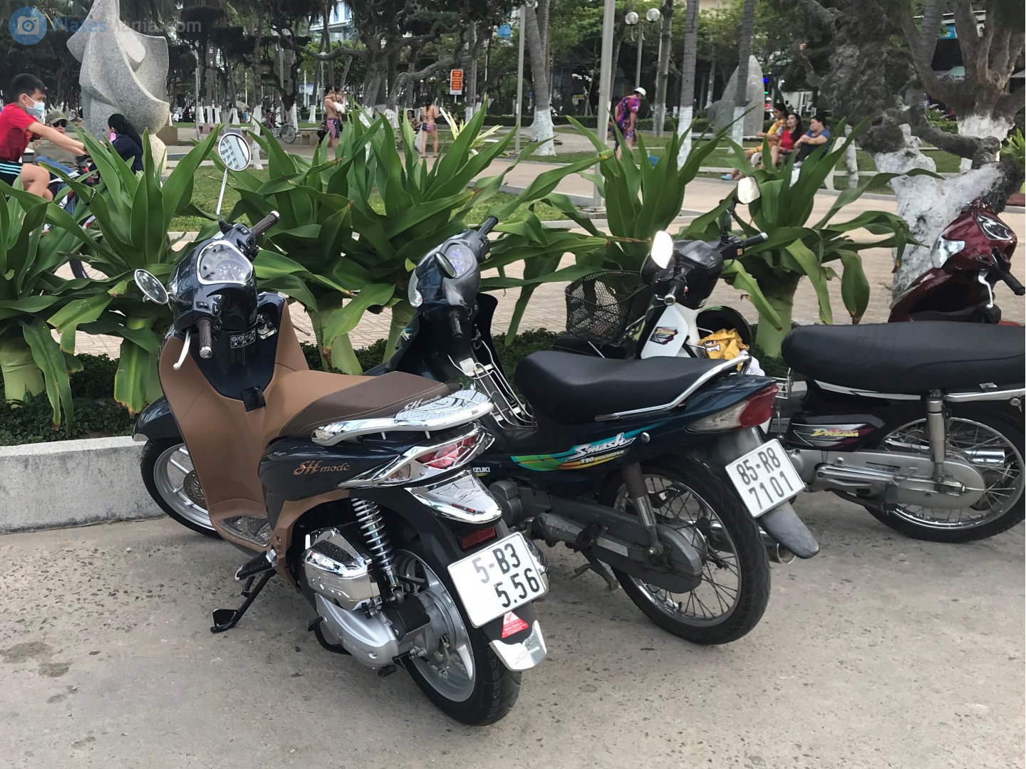 85-R8 7101, Suzuki Smash 