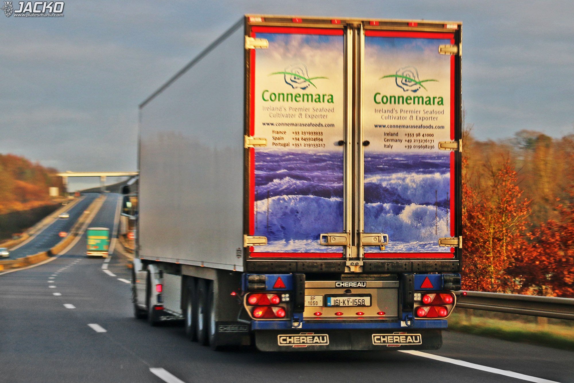 161-KY-1558, Chereau 