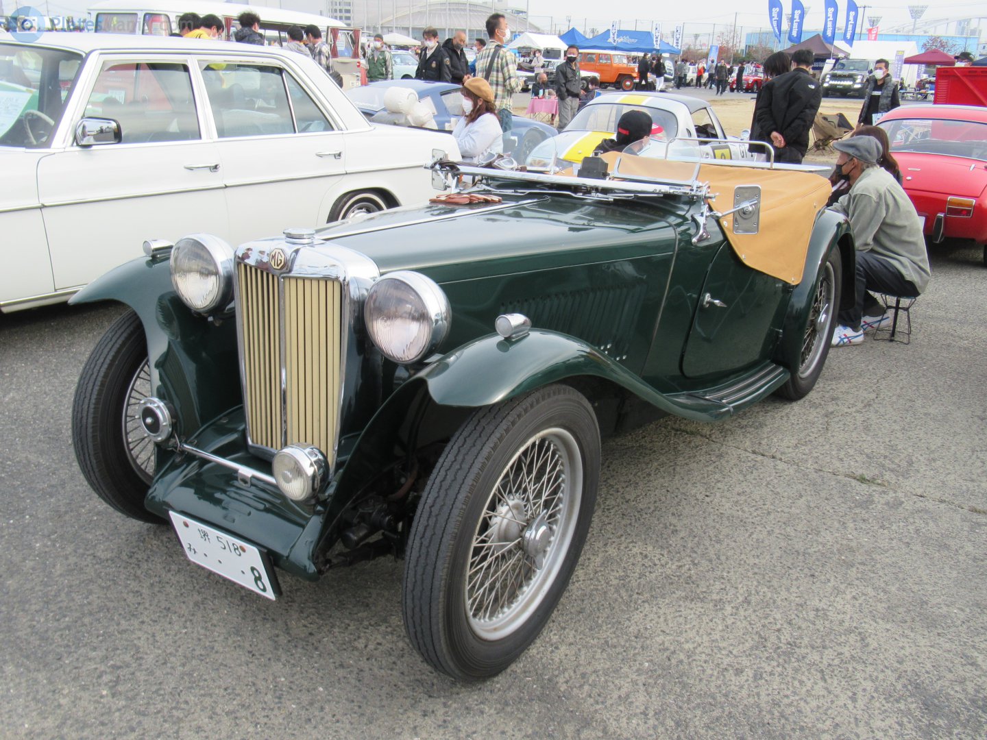 堺 518 み 8, MG TC 