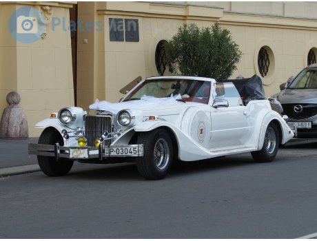 P-03045 21, Zimmer Golden Spirit