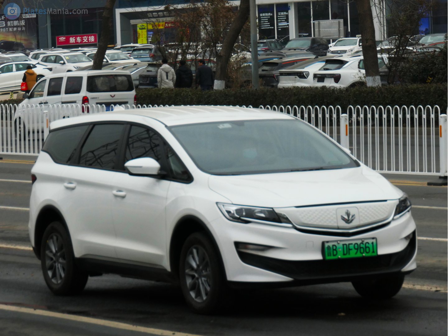 鲁B·DF9661, Maple 80V 