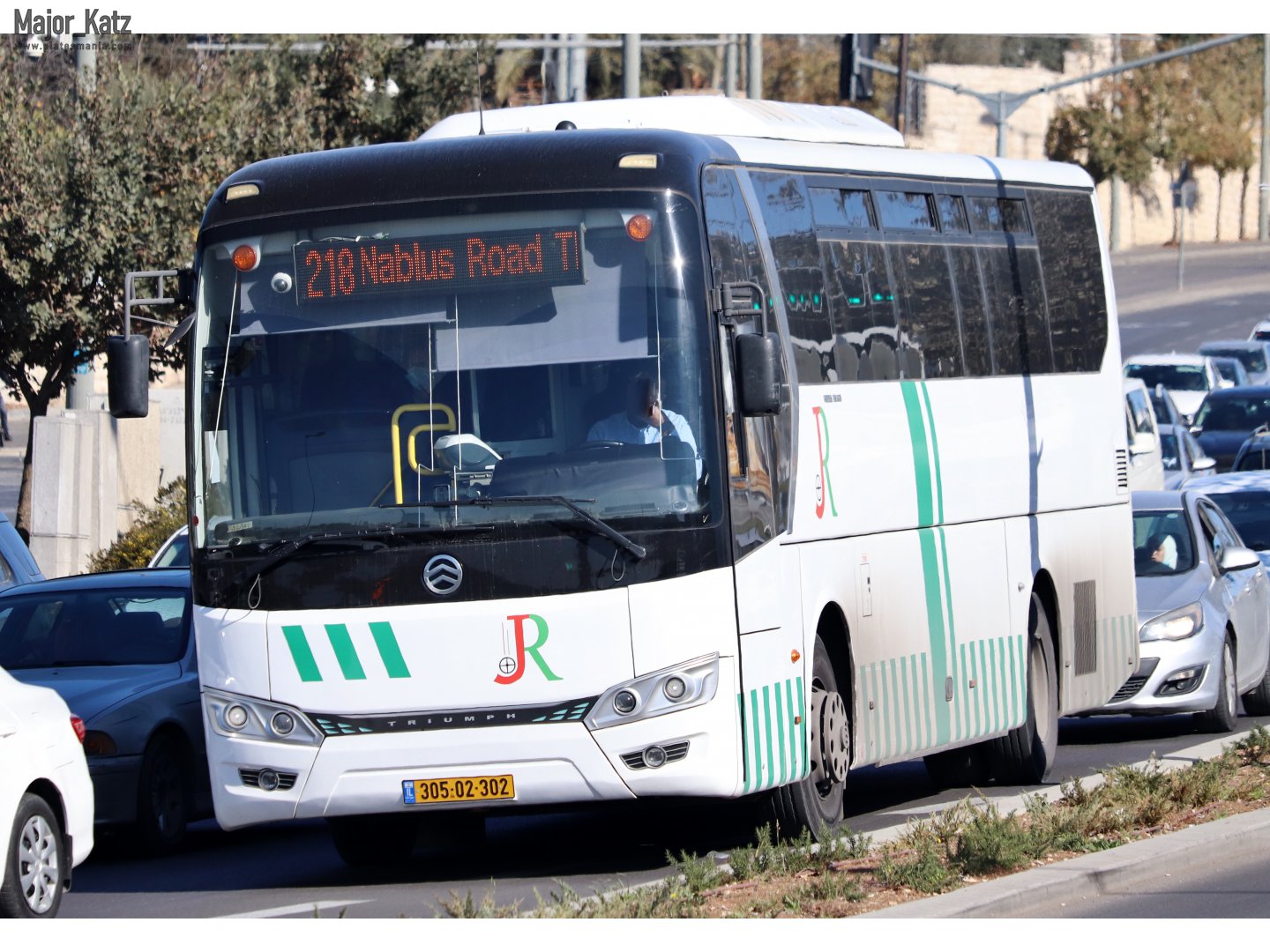 305-02-302, Golden Dragon XML6121 