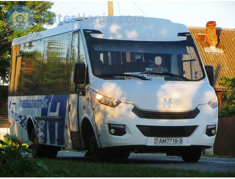 AM 7718-3, Neman 4202