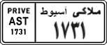 License plate of Egypt, Cars (1999)