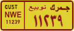 License plate of Egypt, Cars (1999)