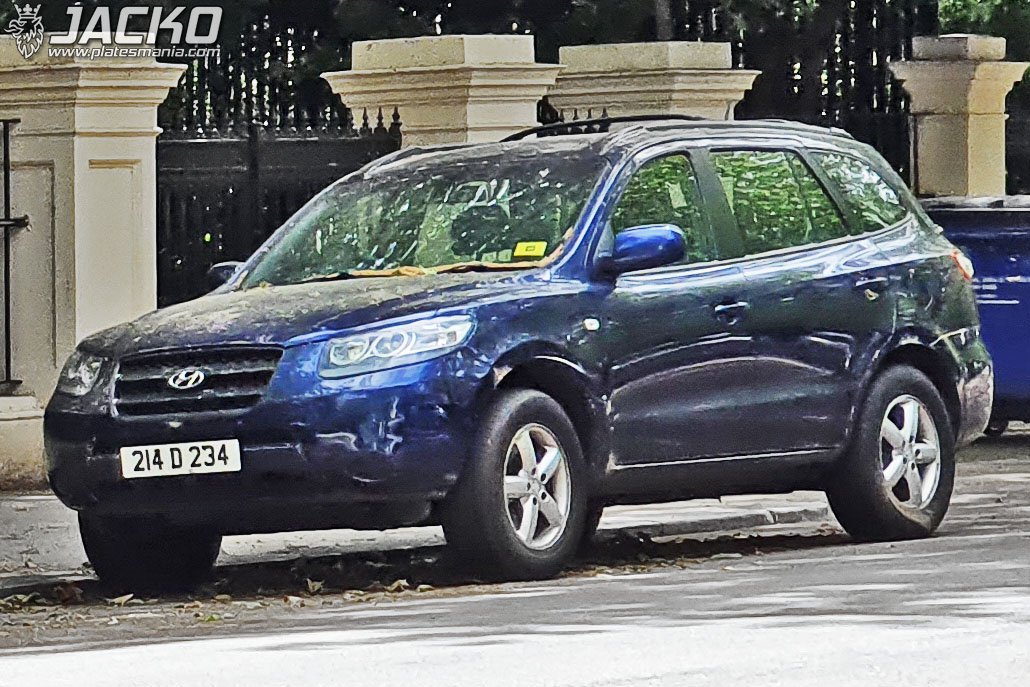 214D234, Hyundai Santa Fe 2nd gen (CM), 2006–2009 (–2010 for ZA-market)