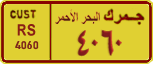 License plate of Egypt, Cars (1999)