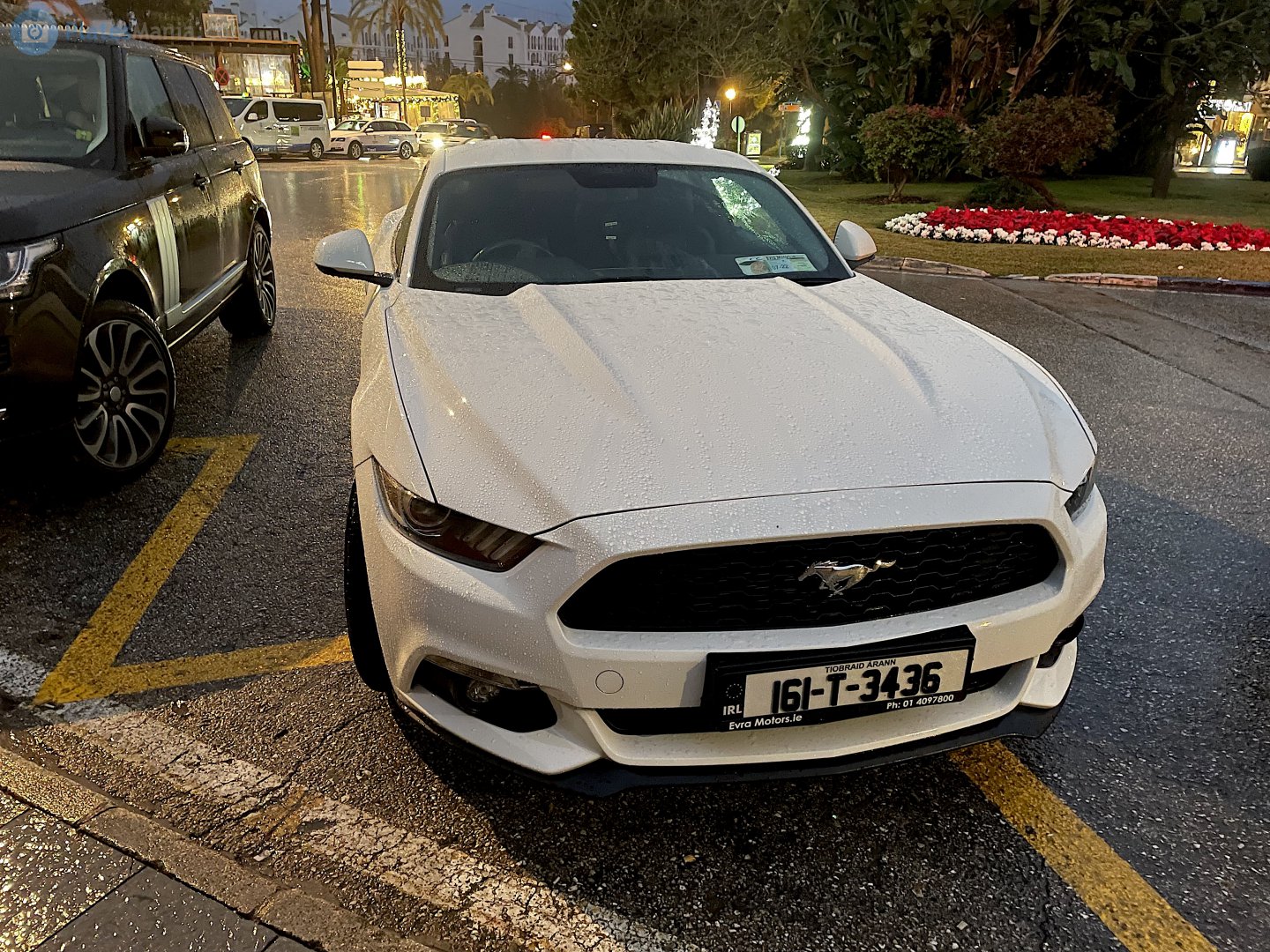 161-T-3436, Ford Mustang 6th gen 2-door Coupé (S550), 2014–2017