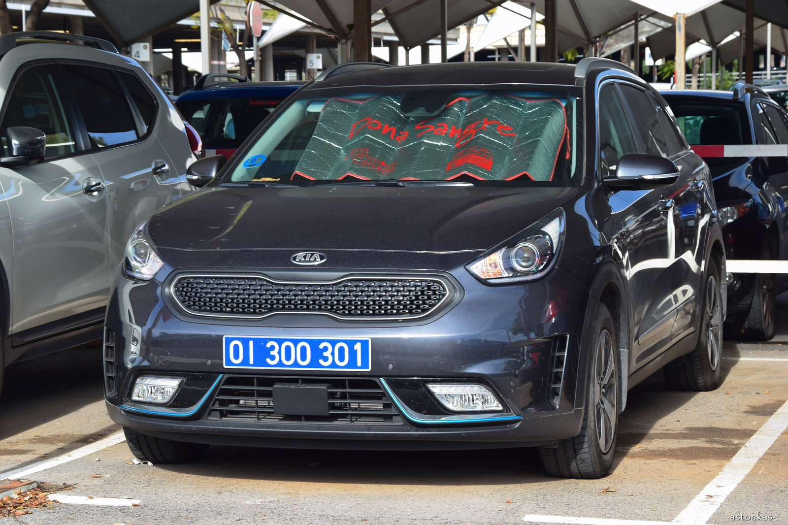 OI 300 301, Kia Niro 1st gen (DE), 2016–2022