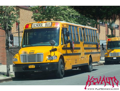 48486-BB, Thomas Saf-T-Liner C2