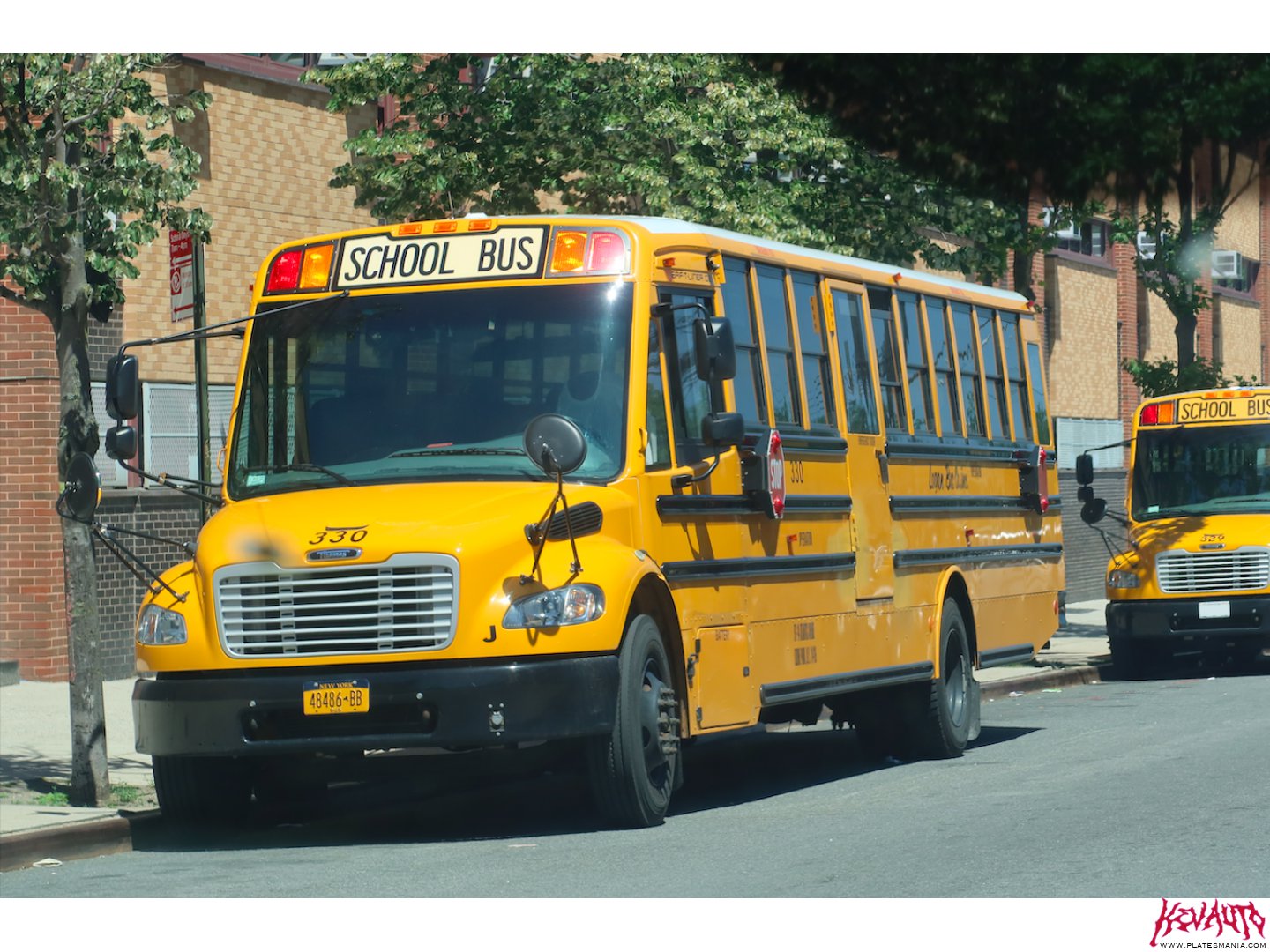 48486-BB, Thomas Saf-T-Liner C2 