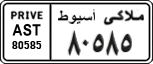 License plate of Egypt, Cars (1999)