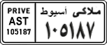 License plate of Egypt, Cars (1999)