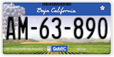 Baja California, Trucks (AA-00-000)