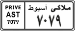 License plate of Egypt, Cars (1999)