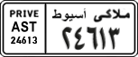 License plate of Egypt, Cars (1999)