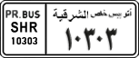 License plate of Egypt, Cars (1999)