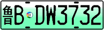 License plate of China, Electric vehicles