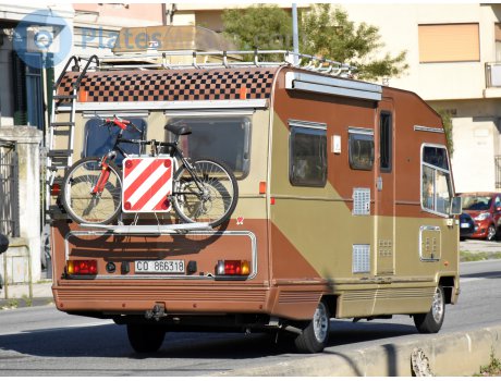 CO 866318, Elnagh Magnum