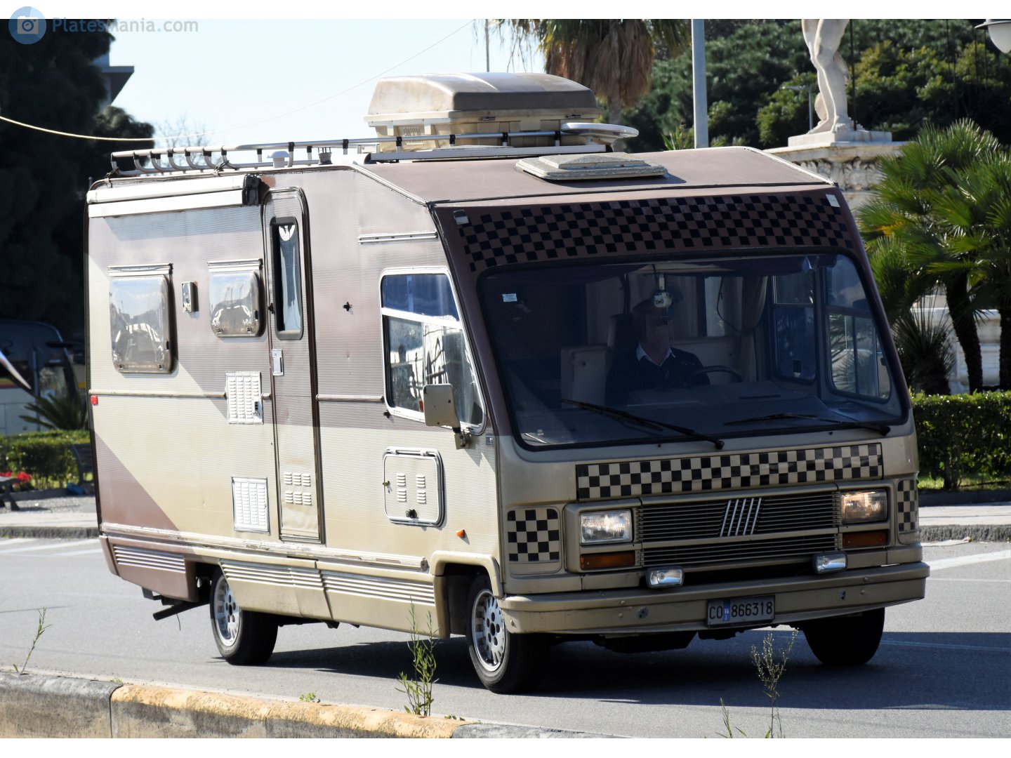 CO 866318, Elnagh Magnum 