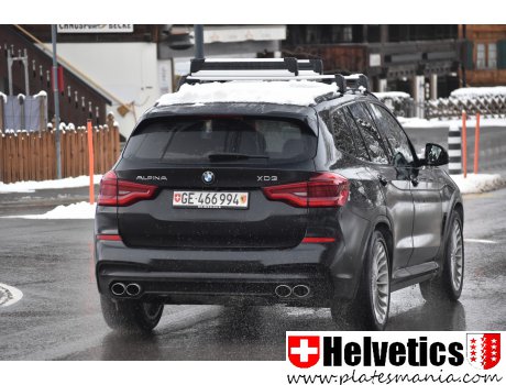 GE 466994, BMW X3