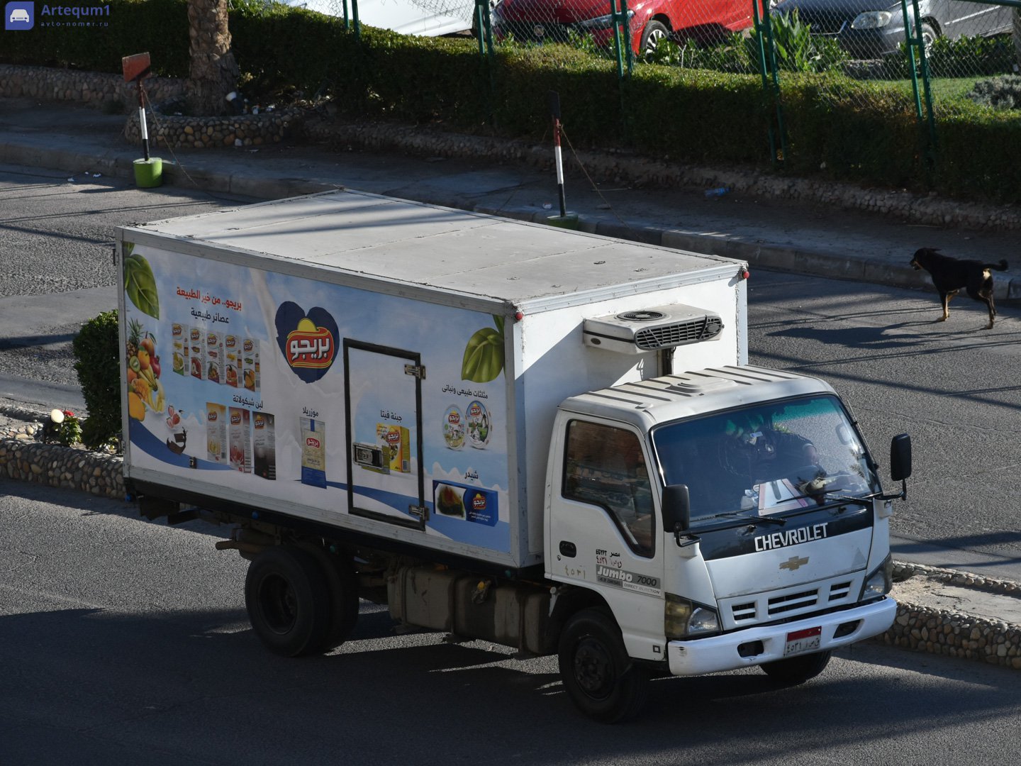 ٤٥٣١ أصق, Chevrolet N-Series Trucks 