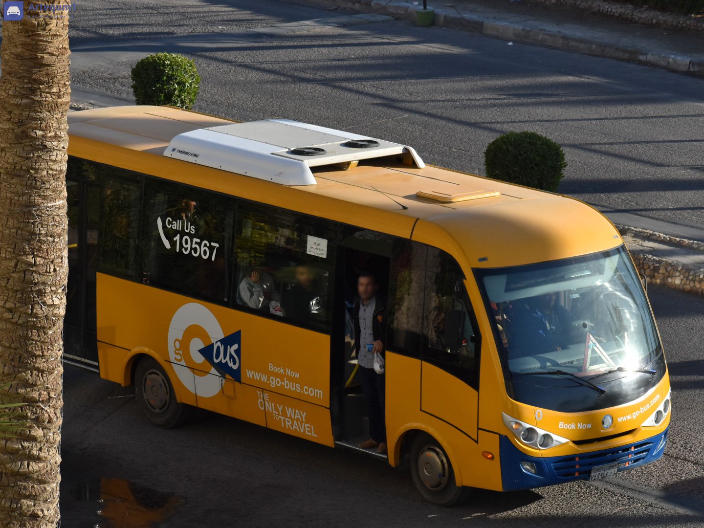 ٧٤٢٩ ىرط, Marcopolo Senior 