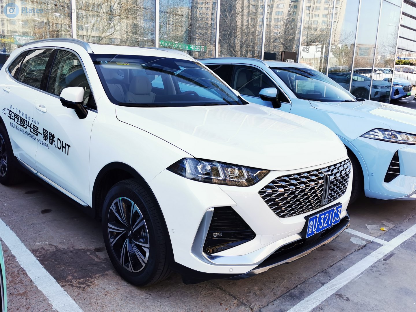 鲁U·321C3, WEY Natie (Latte) 