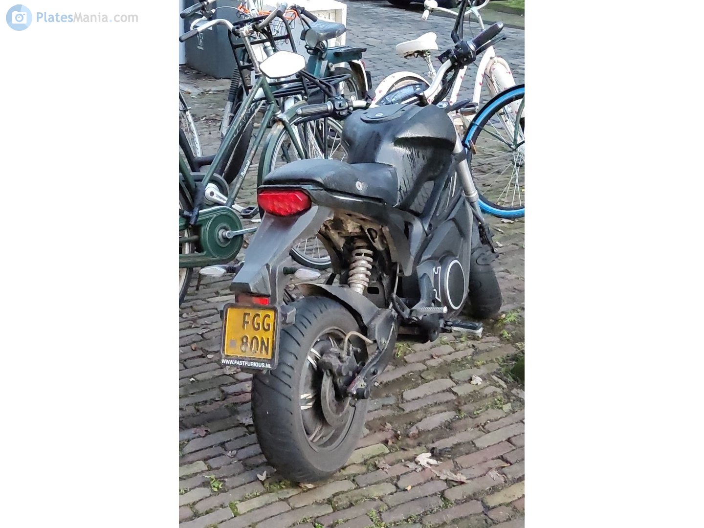 FGG-80-N, Yingang Monster 