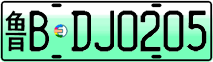 License plate of China, Electric vehicles
