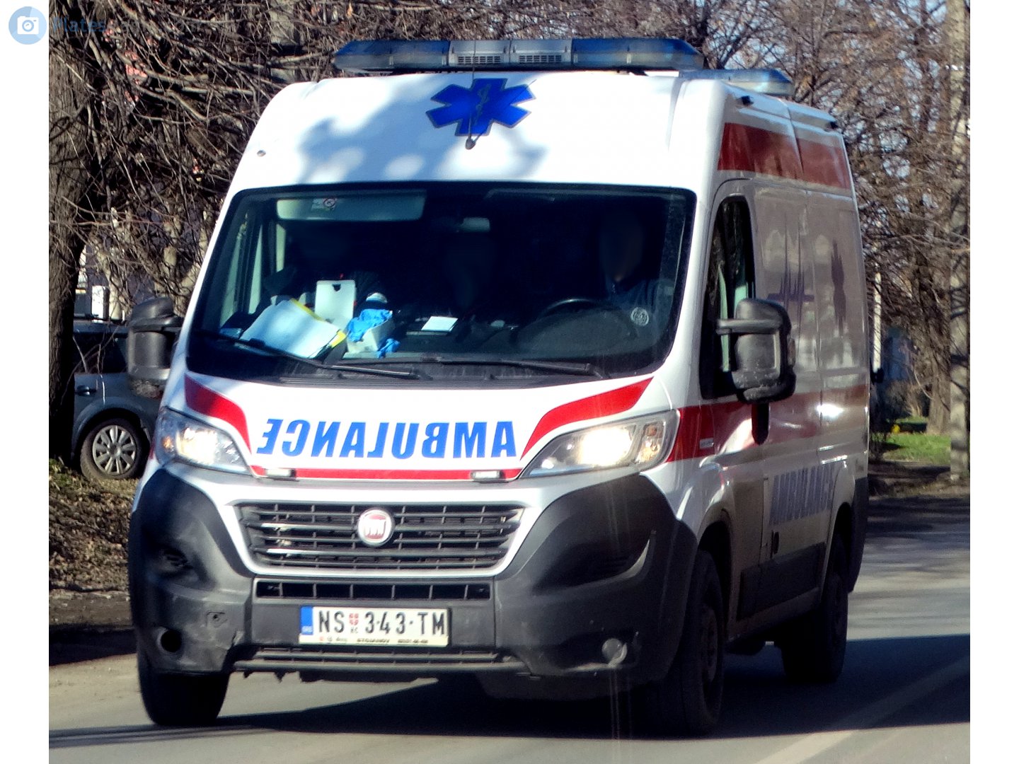 NS 343-TM, FIAT Ducato 3rd gen (290/295/E-Ducato(290)), 1st facelift, 2014–