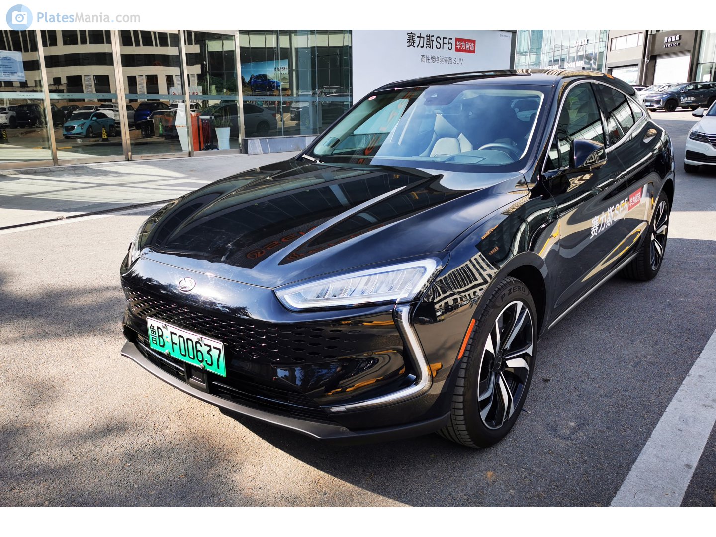 鲁B·F00637, Seres 5(SF5) 