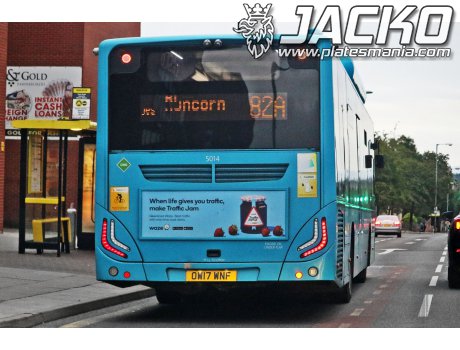 OW17 WNF, Caetano City Gold