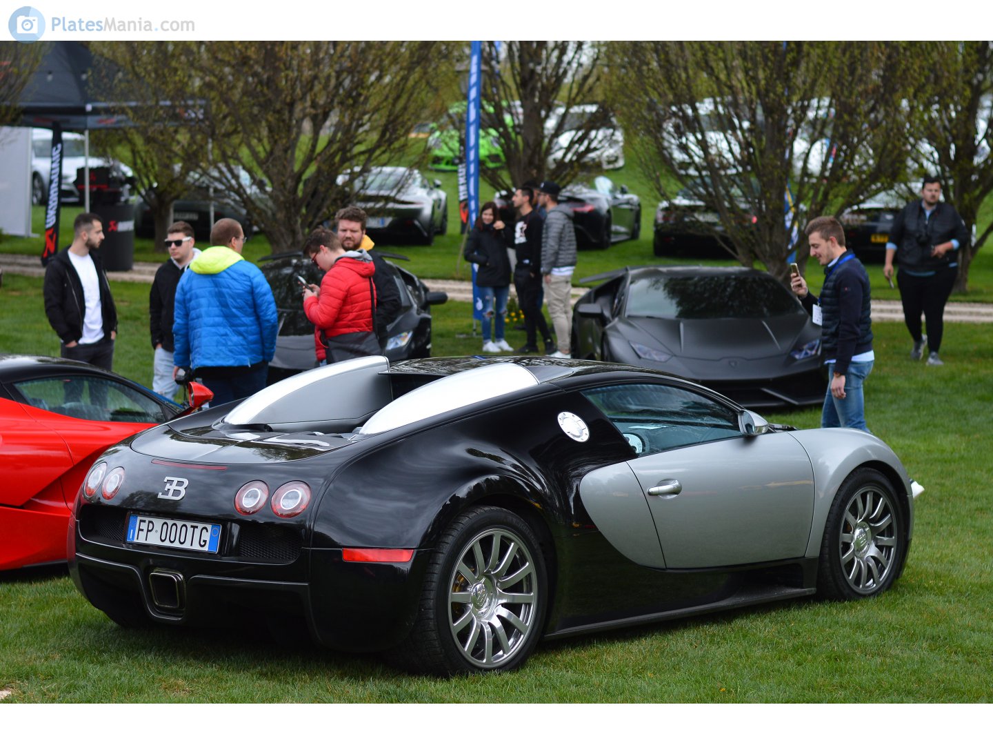 FP 000 TG, Bugatti Veyron Coupe, 2005–2011