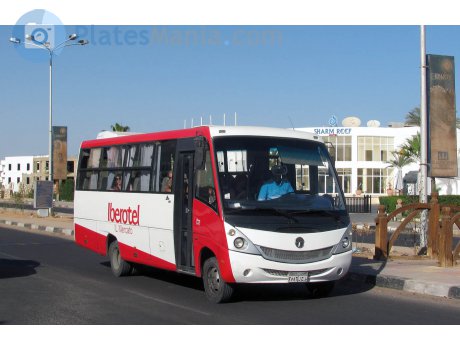 ‎٢٥٨٦‎ ‎ط ج ل‎, MCV 260