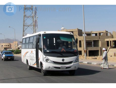 ‎٢٩٤٦‎ ‎ط ج ل‎, MCV 260