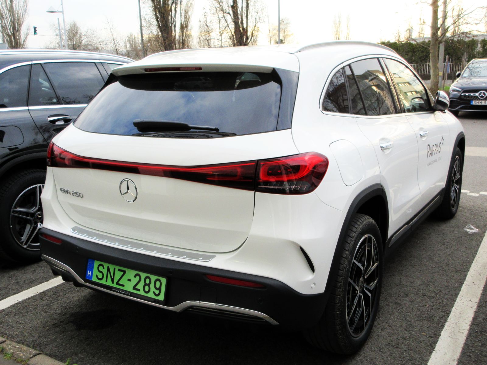 SNZ-289, Mercedes-Benz EQA 1st gen (H243), 2021–