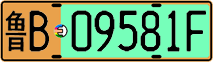 License plate of China, Electric vehicles