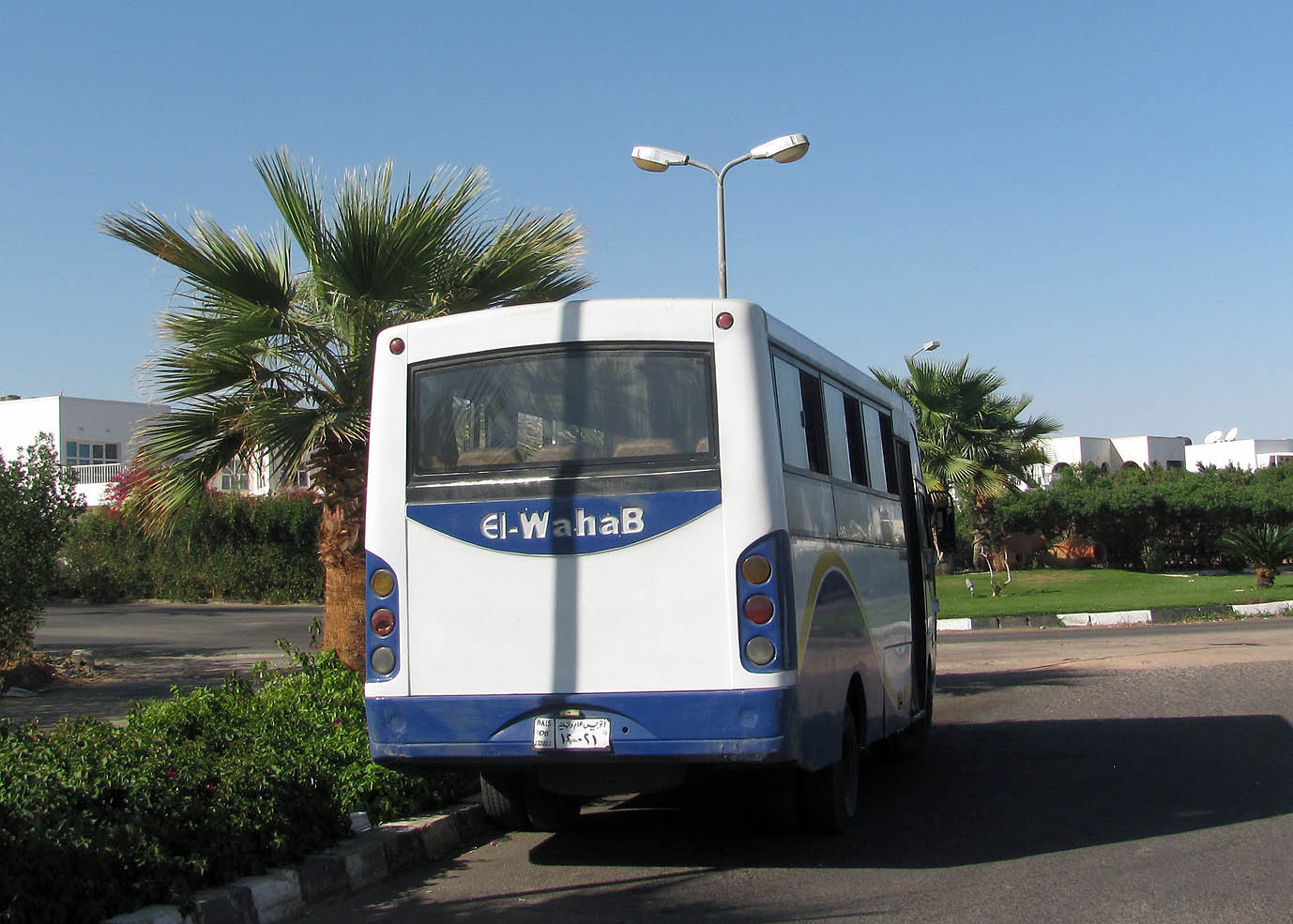 ١٢٠٠٢١, El-WahaB Group Tornado 