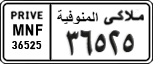 License plate of Egypt, Cars (1999)
