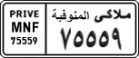 License plate of Egypt, Cars (1999)