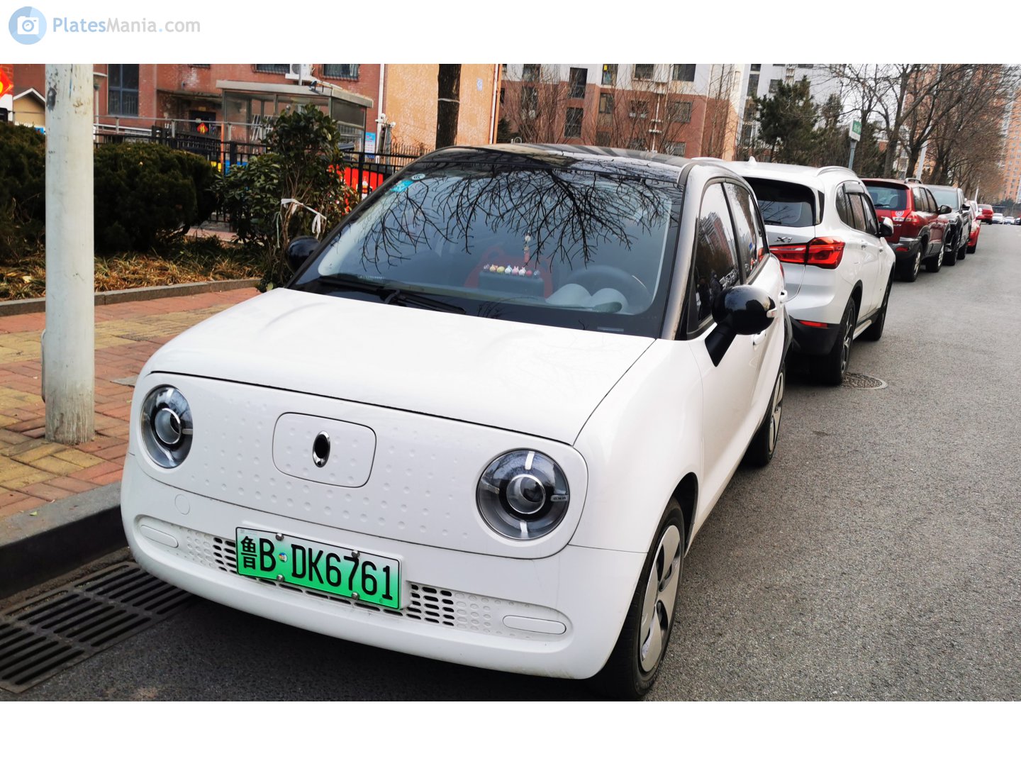 鲁B·DK6761, Ora (Oula) Heimao (R1) 1st gen, 2019–2022