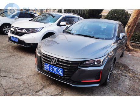 鲁B·8003Q, Changan (Chana) Raeton