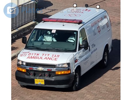 252-65-601, Chevrolet Savana