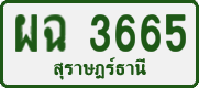 License plate of Thailand, Private owners