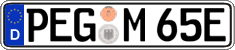 German license plate, Electric vehicles