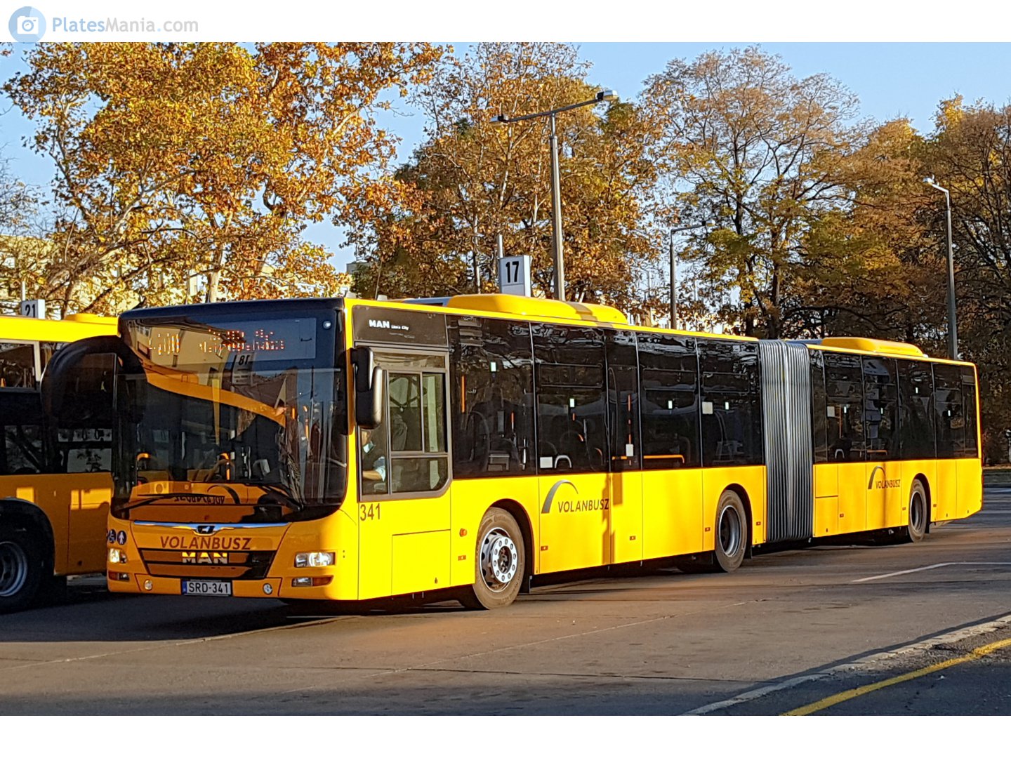 SRD-341, MAN Lion's City 3rd gen, 2017–