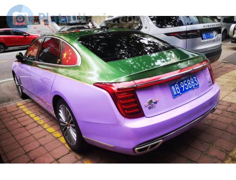 鲁B·95883, Hongqi H9