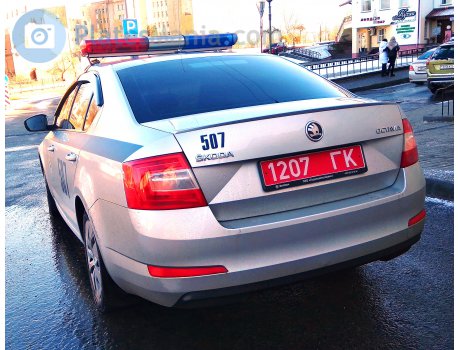 1207 ГК, Skoda Octavia