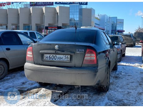 н600нн56, Skoda Octavia